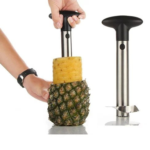 Pretty Prickly Pineapple Peeler The 4P Tool - Shop X Ology