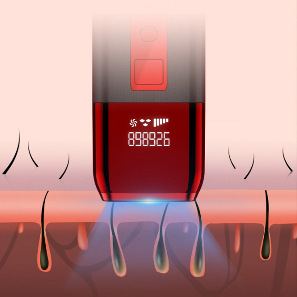 69405246